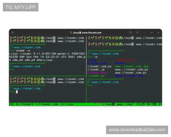 关于ag试玩账号密码的常见误区及正确使用方式全面解析