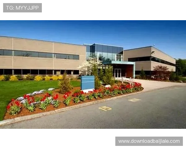 全面介绍BG视讯官网平台的注册流程与账号安全保障策略 全面介绍BG视讯官网平台的注册流程与账号安全保障策略